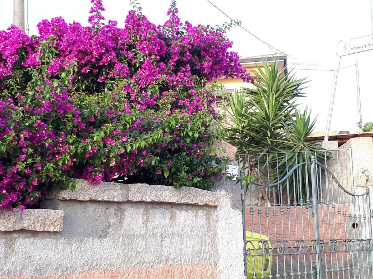 Appartamento La Casa Di Milena Barrabisa Exterior foto